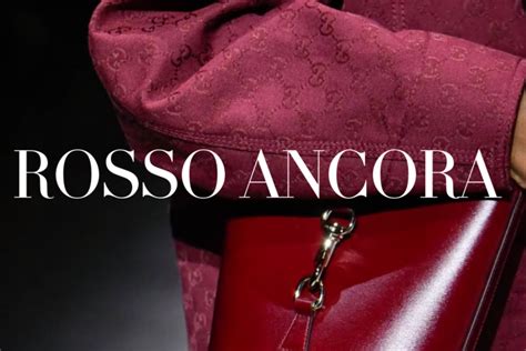 gucci meia calça|gucci rosso ancora.